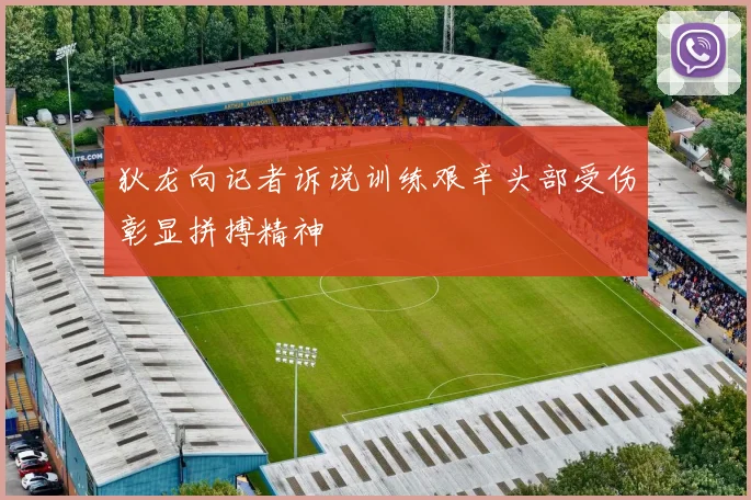 狄龙向记者诉说训练艰辛头部受伤彰显拼搏精神