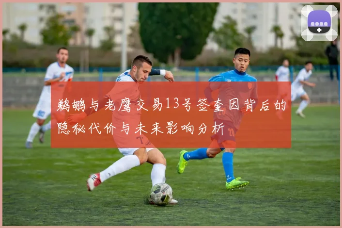 鹈鹕与老鹰交易13号签奎因背后的隐秘代价与未来影响分析